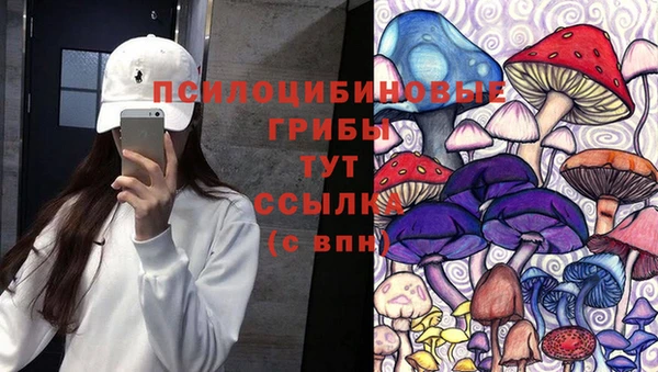 марки lsd Алапаевск