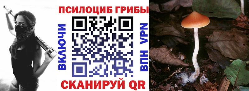 Галлюциногенные грибы мицелий  где можно купить наркотик  Голицыно 